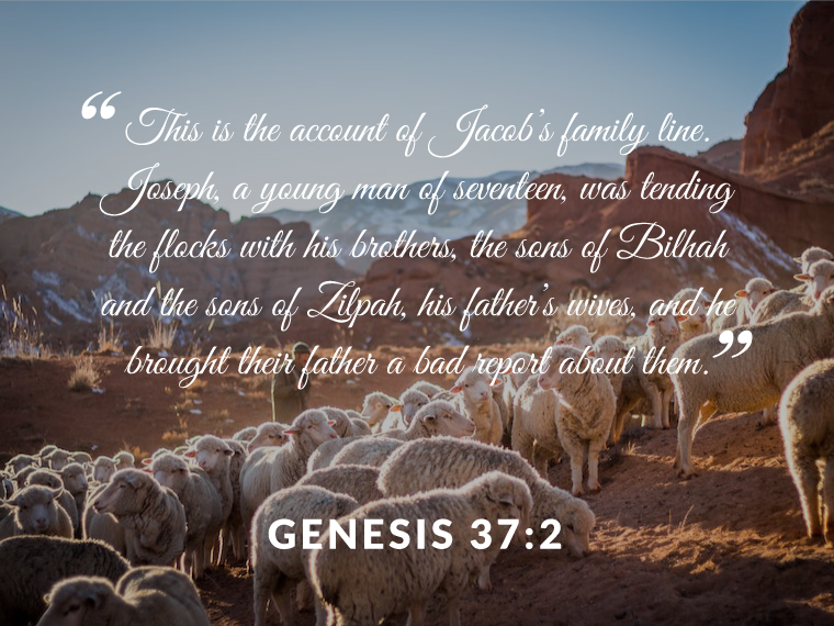 genesis 37:2