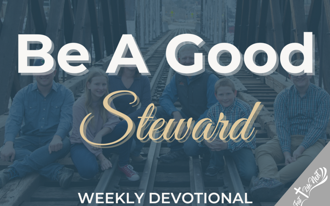 Be A Good Steward
