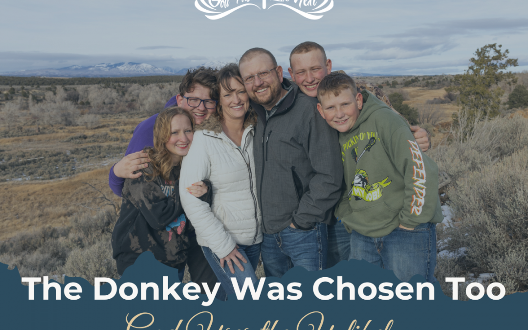 The Donkey Was Chosen Too — God Uses the Unlikely