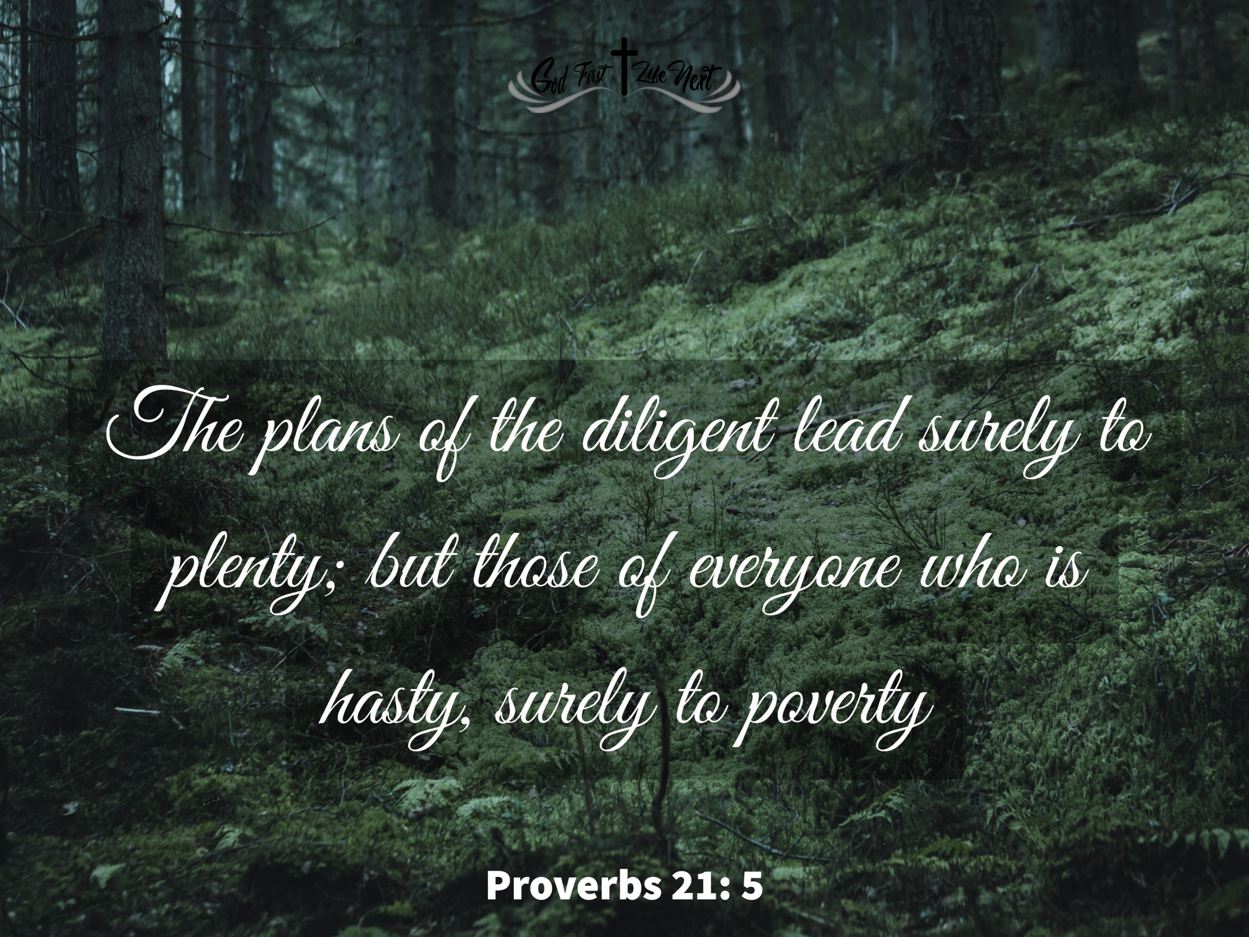Proverbs 21: 5